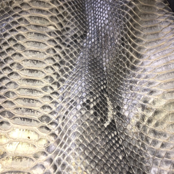 CLARA KASAVINA GOLD GREY GONZALEZ PYTHON SATCHEL BAG - Picture 9 of 13